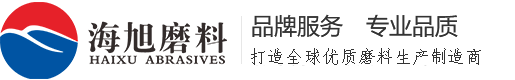 深圳市金正電器有限公司
